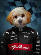 Load image into Gallery viewer, F1 Alpha Romeow Team