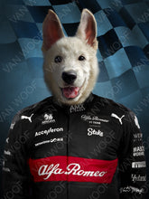 Load image into Gallery viewer, F1 Alpha Romeow Team