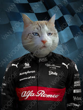 Load image into Gallery viewer, F1 Alpha Romeow Team