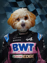 Load image into Gallery viewer, F1 Alphine Team