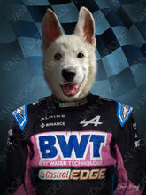 Load image into Gallery viewer, F1 Alphine Team