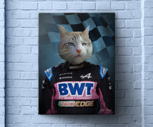 Load image into Gallery viewer, F1 Alphine Team
