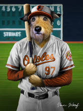 Load image into Gallery viewer, Baltimore Orioles Baseball Player