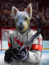 Load image into Gallery viewer, Carolina Hurricanes Hockey Player