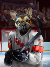 Load image into Gallery viewer, Carolina Hurricanes Hockey Player