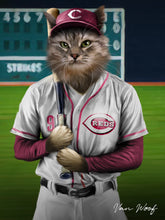 Load image into Gallery viewer, Cincinnati Reds Baseball Player
