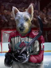 Load image into Gallery viewer, Colorado Avalanche Hockey Player