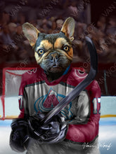 Load image into Gallery viewer, Colorado Avalanche Hockey Player