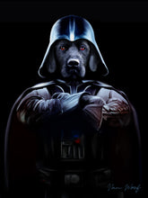 Load image into Gallery viewer, Darth Vader