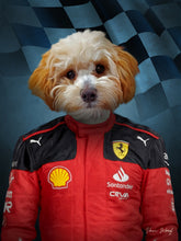 Load image into Gallery viewer, F1 Furrari Team