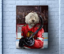 Load image into Gallery viewer, Chicago Blackhawks Hockey Player