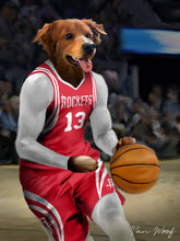 Load image into Gallery viewer, Houston Rockets Basketball Player