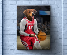 Load image into Gallery viewer, Houston Rockets Basketball Player