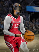 Load image into Gallery viewer, Houston Rockets Basketball Player