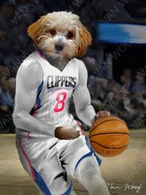 Load image into Gallery viewer, LA Clippers Basketball Player
