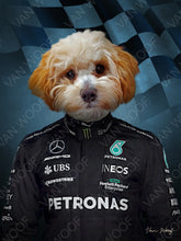 Load image into Gallery viewer, F1 Mercydes Team