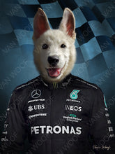 Load image into Gallery viewer, F1 Mercydes Team
