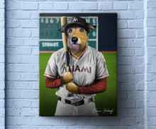 Load image into Gallery viewer, Miami Marlins Baseball Player