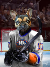 Load image into Gallery viewer, New York Islanders Hockey Player