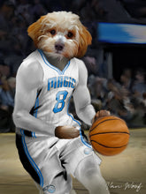 Load image into Gallery viewer, Orlando Magic Basketball Player