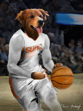 Load image into Gallery viewer, Phoenix Suns Basketball Player