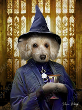 Load image into Gallery viewer, Professor McGonagall