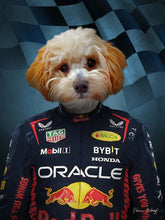 Load image into Gallery viewer, F1 Red Ball Team