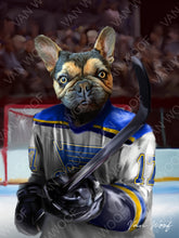 Load image into Gallery viewer, St. Louis Blues Hockey Player