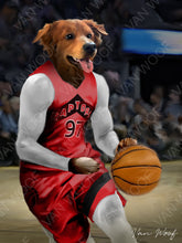 Load image into Gallery viewer, Toronto Raptors Basketball Player