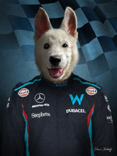 Load image into Gallery viewer, F1 Billiams Team