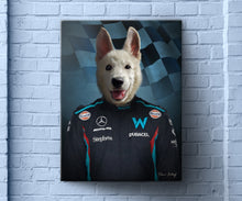 Load image into Gallery viewer, F1 Billiams Team