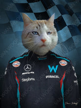Load image into Gallery viewer, F1 Billiams Team