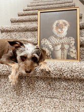 Load image into Gallery viewer, The Advisor