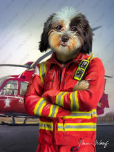 Load image into Gallery viewer, Air Ambulance Pilot