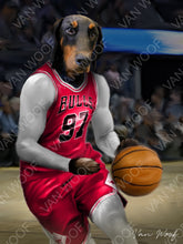 Load image into Gallery viewer, Chicago Bulls Basketball Player