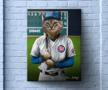 Load image into Gallery viewer, Chicago Cubs Baseball Player