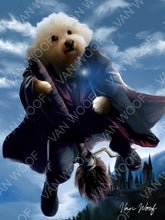 Load image into Gallery viewer, The Chosen One