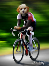 Load image into Gallery viewer, Cyclist