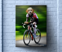 Load image into Gallery viewer, Cyclist