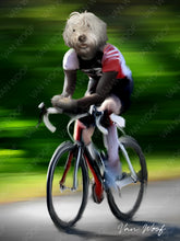 Load image into Gallery viewer, Cyclist