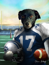 Load image into Gallery viewer, Dallas Football Fan