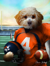 Load image into Gallery viewer, Denver Football Player