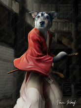 Load image into Gallery viewer, Ruruoni Kenshin