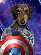 Load image into Gallery viewer, Captain Pawmerica