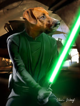Load image into Gallery viewer, Luke Skywalker