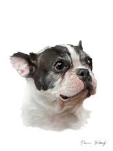 Load image into Gallery viewer, Simple & Elegant