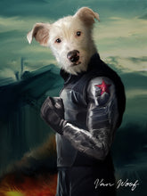 Load image into Gallery viewer, Winter Soldier