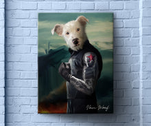 Load image into Gallery viewer, Winter Soldier