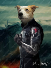 Load image into Gallery viewer, Winter Soldier