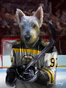 Boston Bruins Hockey Player